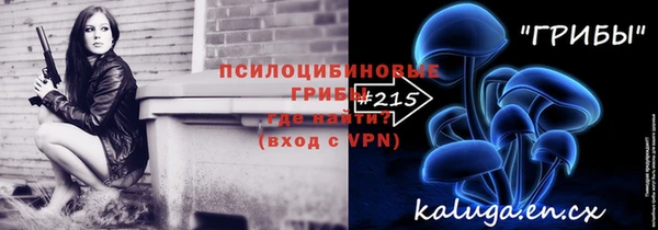 мдпв Верея