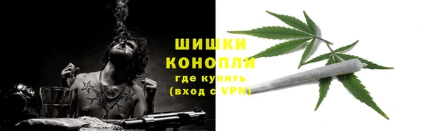 мдпв Верея
