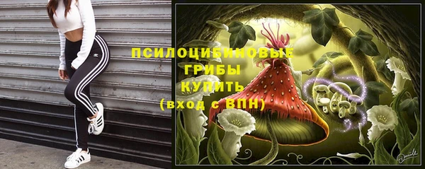 герыч Верхний Тагил