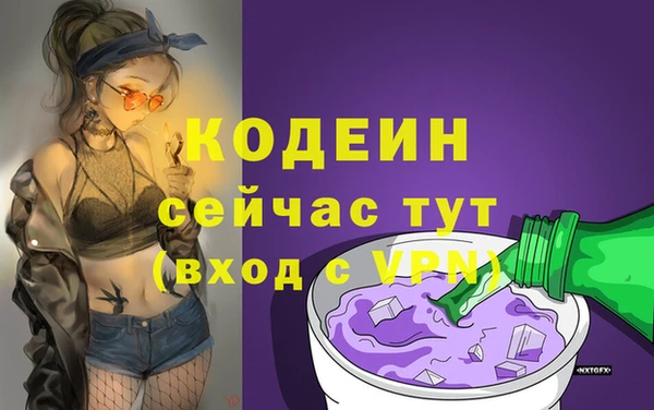 мдпв Верея