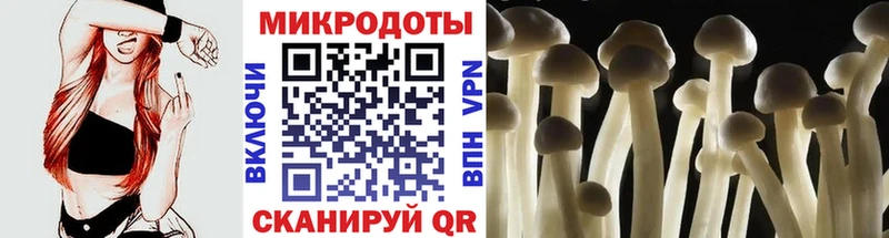 ОМГ ОМГ рабочий сайт  Мончегорск  Псилоцибиновые грибы Psilocybe  наркота 