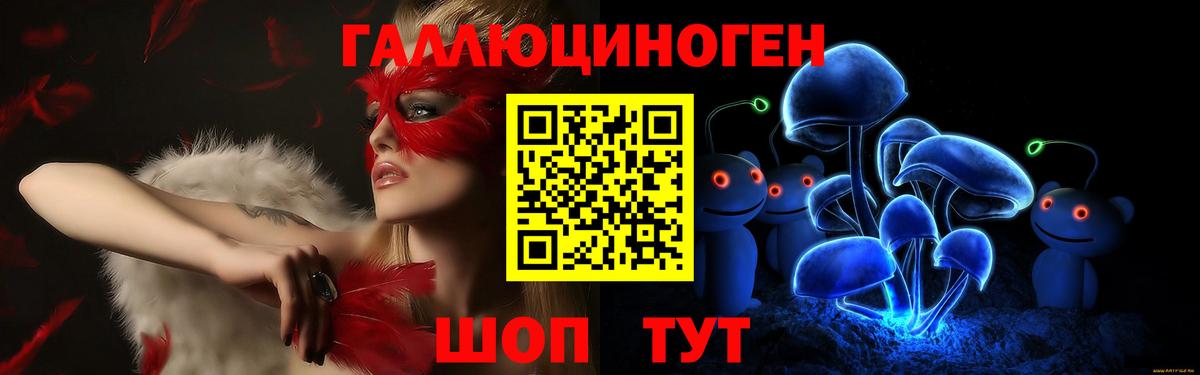 Галлюциногенные грибы Psilocybine cubensis Мончегорск