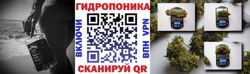 Конопля гибрид  купить   Мончегорск 